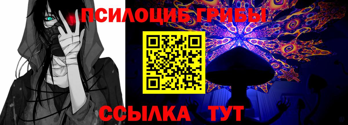 Котовск  Галлюциногенные грибы Psilocybe  Вход с VPN 